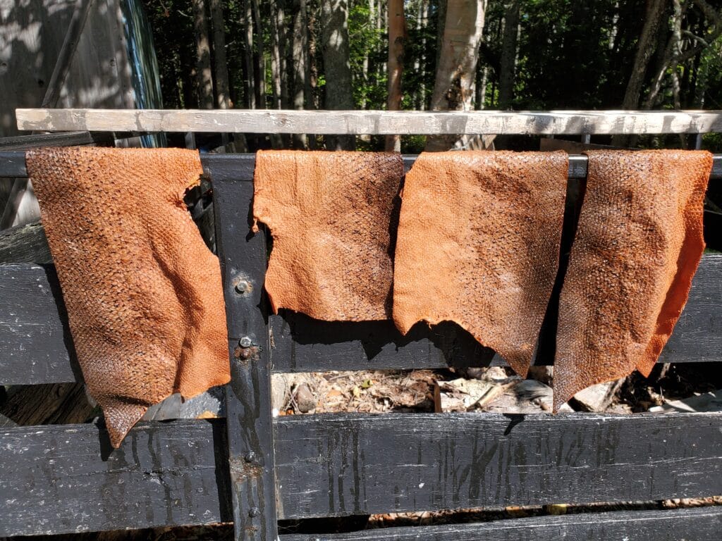 Drying salmon leather