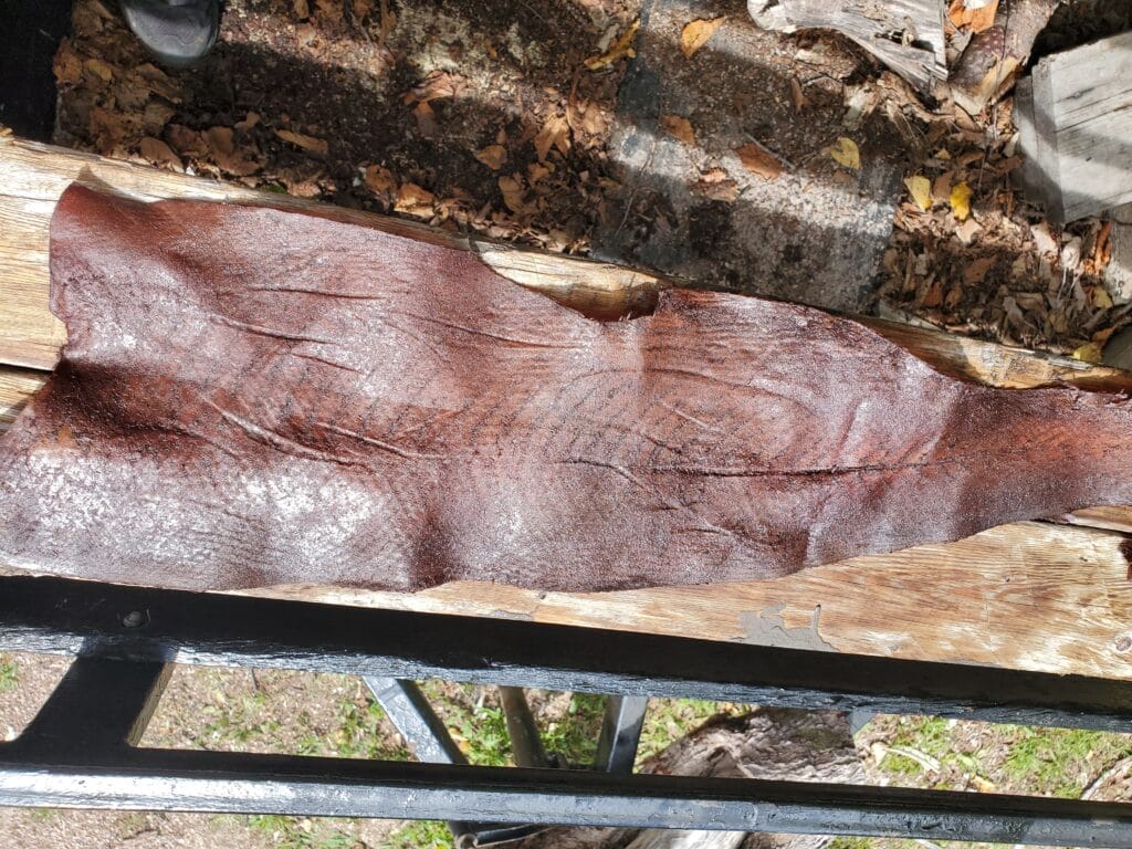 Flesh side of salmon leather in the oiling and working phase