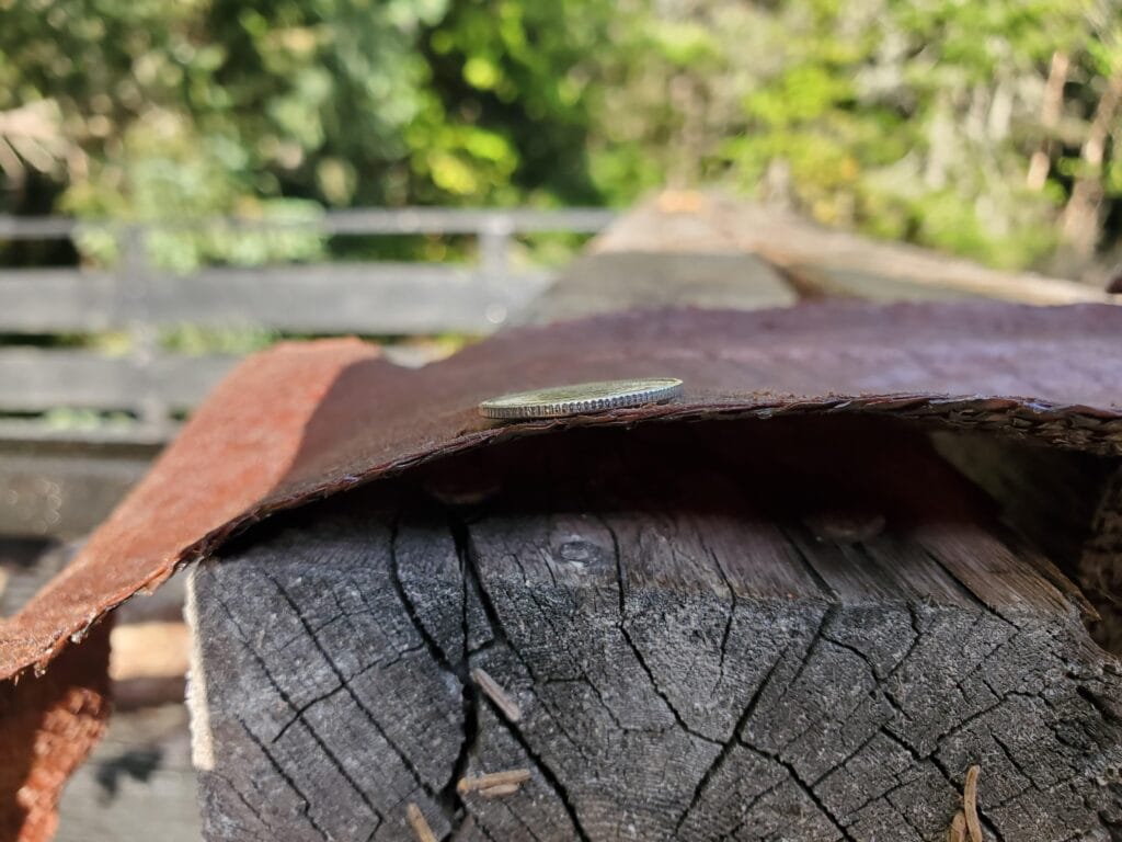 Salmon leather thickness answered